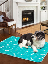 Load image into Gallery viewer, Washable Reusable Puppy Pad; Green or Blue, Sm-Lg
