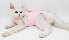 Load image into Gallery viewer, Cat Surgery Recovery Suit, Keeps Pet from Licking Wounds; Color and Size Options - bnotebuzz
