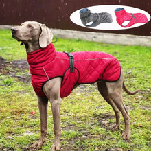 Load image into Gallery viewer, Outdoor Dog Jacket Waterproof, Reflective
