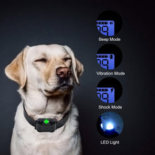 Load image into Gallery viewer, 800m Electric Dog Vibration Training Collar, Remote Control, Bark Stopping, Waterproof Rechargeable; Options Available
