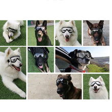 Load image into Gallery viewer, Pet Goggles Transparent Dog, Waterproof, Windproof, Snow , UV
