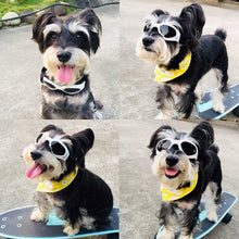 Load image into Gallery viewer, Doggy Sunglasses
