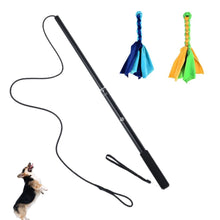 Load image into Gallery viewer, Flirt Pole Dog Toys, Interactive
