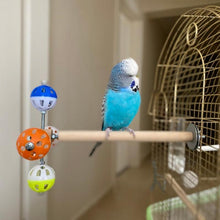 Load image into Gallery viewer, Pet Bird Toys Ball Hollow Bell
