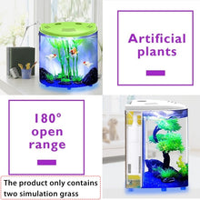 Load image into Gallery viewer, 5L Mini Fish Aquarium With Water Filter and Quiet Air Pump, LED, Portable, USB; 3 Color Options - bnotebuzz
