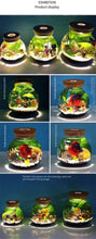 Load image into Gallery viewer, Small Glass Aquarium, Size Options Available - bnotebuzz
