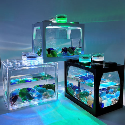 Micro Table Top Ecological Aquarium/Terrarium, Tank Color and Lighting Color Options Available - bnotebuzz
