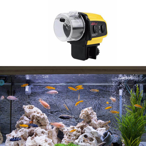 Automatic Timed Fish Feeder - bnotebuzz