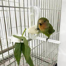 Load image into Gallery viewer, Pet Bird Fruit, Vegetable or Cuttlefish Bone Feeding Accessory; 2 Options Available - bnotebuzz
