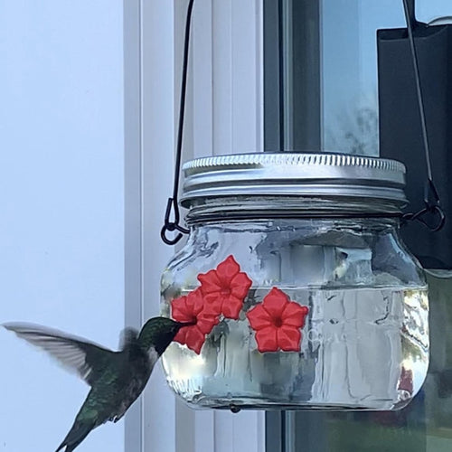 Hummingbird Feeder - bnotebuzz