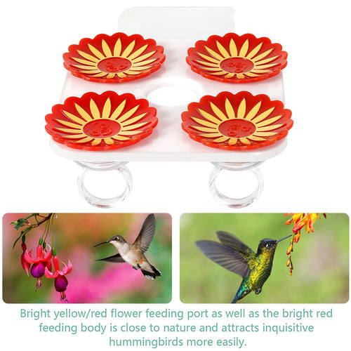 Flower Shaped Ring Feeder for Hummingbirds, 4 pc - bnotebuzz