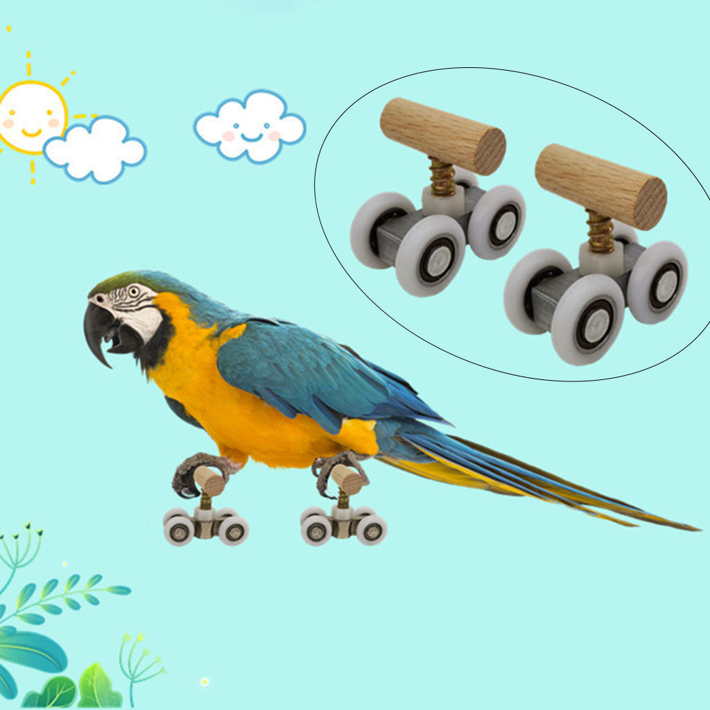 Pet Bird Roller Skate Set