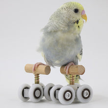 Load image into Gallery viewer, Pet Bird Roller Skate Set
