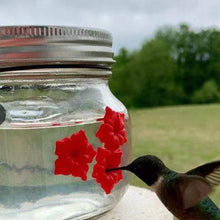 Load image into Gallery viewer, Country Style Hummingbird Feeder Mason Jar
