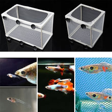 Load image into Gallery viewer, Aquarium Fish Breeding Isolation Box, Mesh; 2 Sizes Available - bnotebuzz

