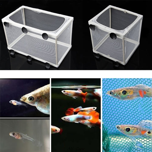 Aquarium Fish Breeding Isolation Box, Mesh; 2 Sizes Available - bnotebuzz